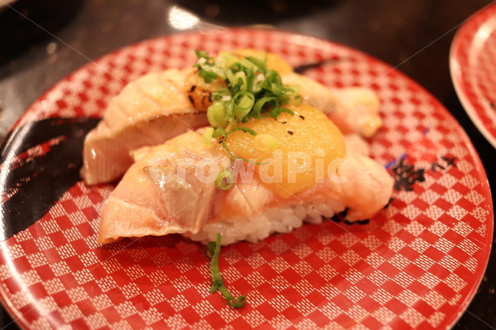 초밥,연어초밥,구운연어초밥,일본,일식집,식품,food,음식,식재료,요리,food,cook,meal,dishes,food reserves,일식,일본음식,일본요리,Japanese food,Japanese dishes,Japanese meal,Japanese cook