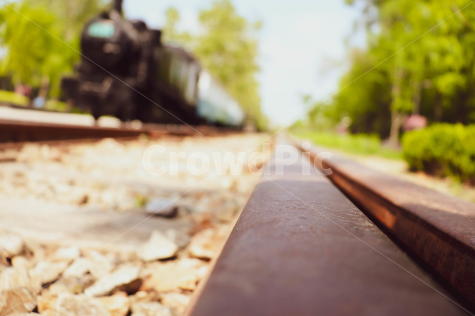 레일,기찻길,철도,숲,여름,railway,traintrack,rail,교통,교통수단,traffic,transportation