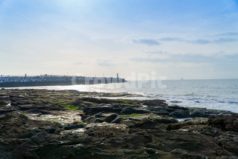 서해,바다,등대,자연,풍경,자연,풍경,nature,landscape,한국자연풍경,한국자연경관,korea nature landscape,plant,식물,algae,조류