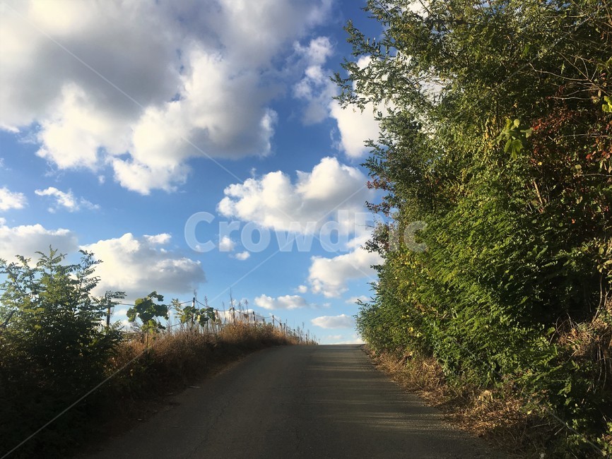 길,road,도로,자연,nature,outdoors