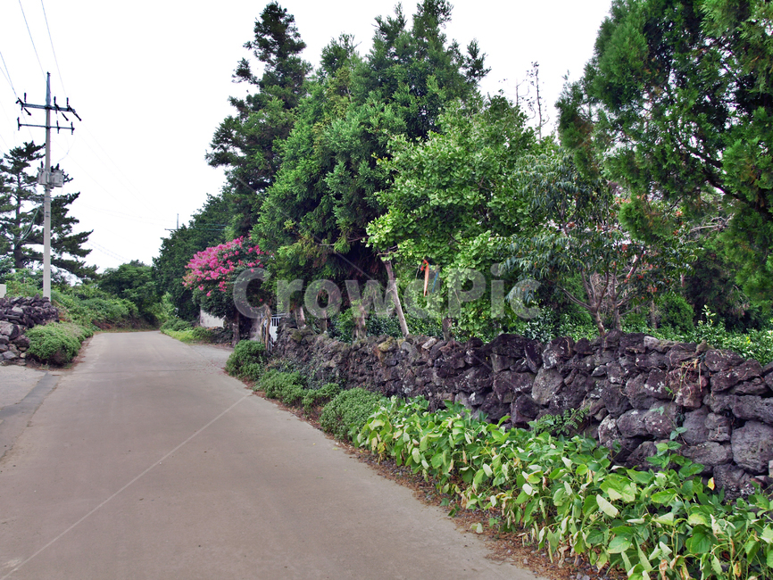 제주,올레14코스,올레길,도로,돌담,자연,풍경,nature,landscape,제주도,jeju,jeju island,garden,정원,outdoors,옥외,arbour,정자