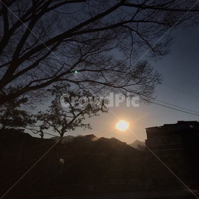 하늘,태양,sun,sky,아침
