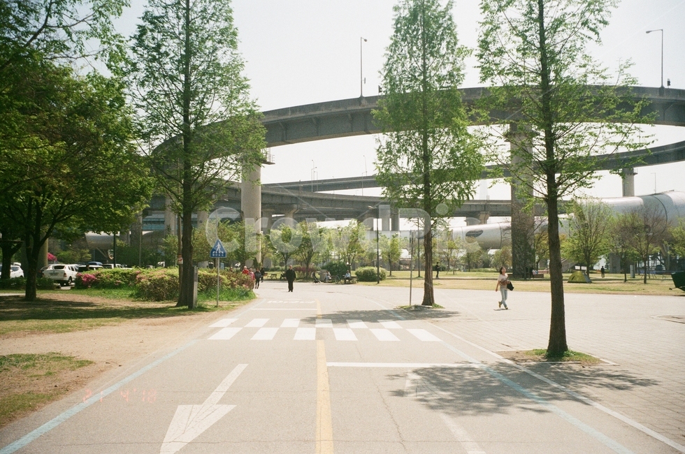 한강공원,풍경,자연,산책로,공원,색감,나무,도시,풍경,city,landscape,한국도시풍경,한국도시경관,korea cityscape,road,도로,asphalt,아스팔트
