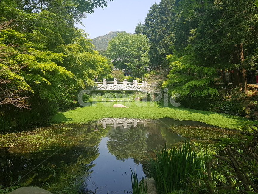 호수,연못,자연,풍경,초록색,자연,풍경,nature,landscape,water,물,outdoors,옥외,land,땅,pond,못