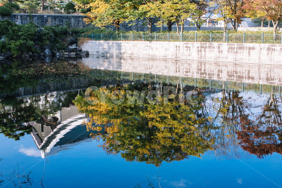 water,물,nature,자연,outdoors,옥외,반영,reflection,연못,pond