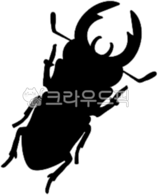 곤충,사슴벌레,장수풍뎅이,실루엣,그림자