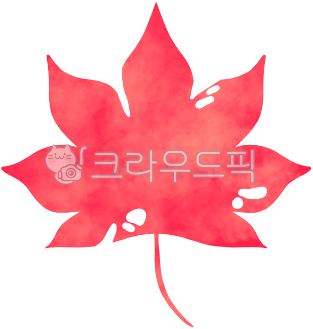 구멍난낙엽,나뭇잎,낙엽구멍,벌레먹은낙엽,구멍뚫린낙엽,구멍낙엽,단풍,단풍잎,수채화,수채단풍잎,수채화단풍잎,가을,예쁜단풍잎,가을감성,낙옆,낙엽,예쁜낙엽,예쁜낙옆,단풍축제