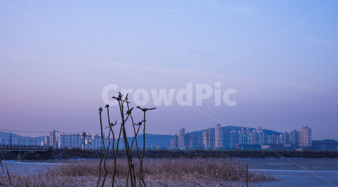 솟대,염원,상징,모양,수호,감성,전통,도시,풍경,city,landscape,한국도시풍경,한국도시경관,korea cityscape,한국전통,한국문화,korean traditional,korean culture,종교,신앙,religion,belief,faith