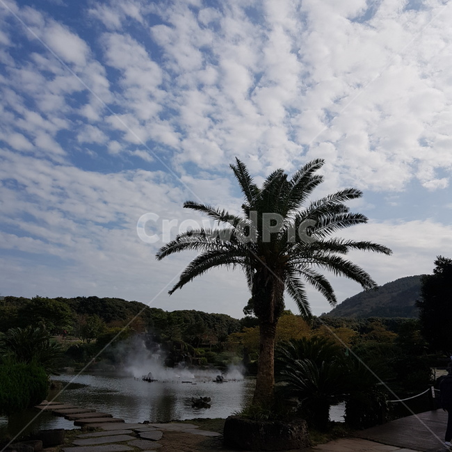 outdoors,옥외,plant,식물,tree,나무,water,nature,cloud