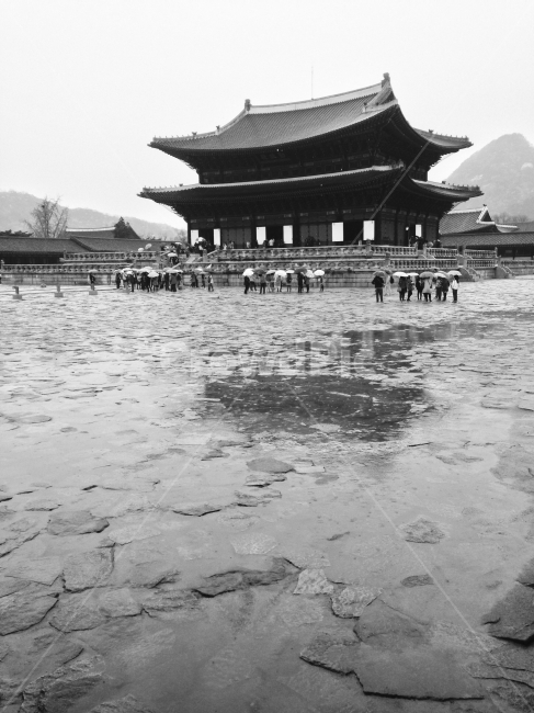 경복궁,흑백,비,관광객,빗물,한국전통,한국문화,korean traditional,korean culture,랜드마크,landmark,tourist attraction,한국랜드마크,한국관광지,한국명소,korea landmark,korea tourist attraction,사람들,대중,군중,other people,crowd,흑백,모노톤,monochrome,black and white