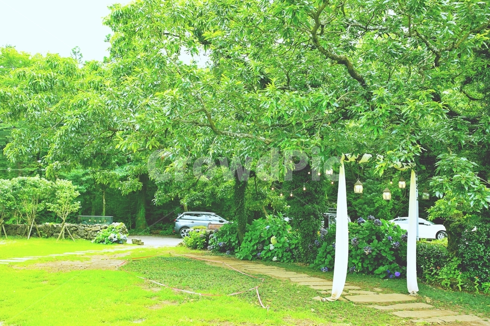 정원,자연,잔디,감성,tree,나무,plant,식물,grass,제주도,자연,풍경,nature,landscape,transportation,교통,vehicle,차량,car,차,automobile,자동차