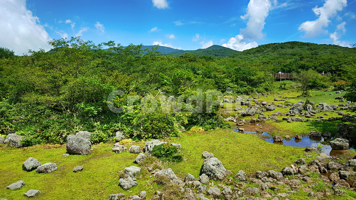 제주,한라산,1100고지,한라산1100고지,산,제주도,자연,nature,outdoors,옥외,자연,풍경,nature,landscape