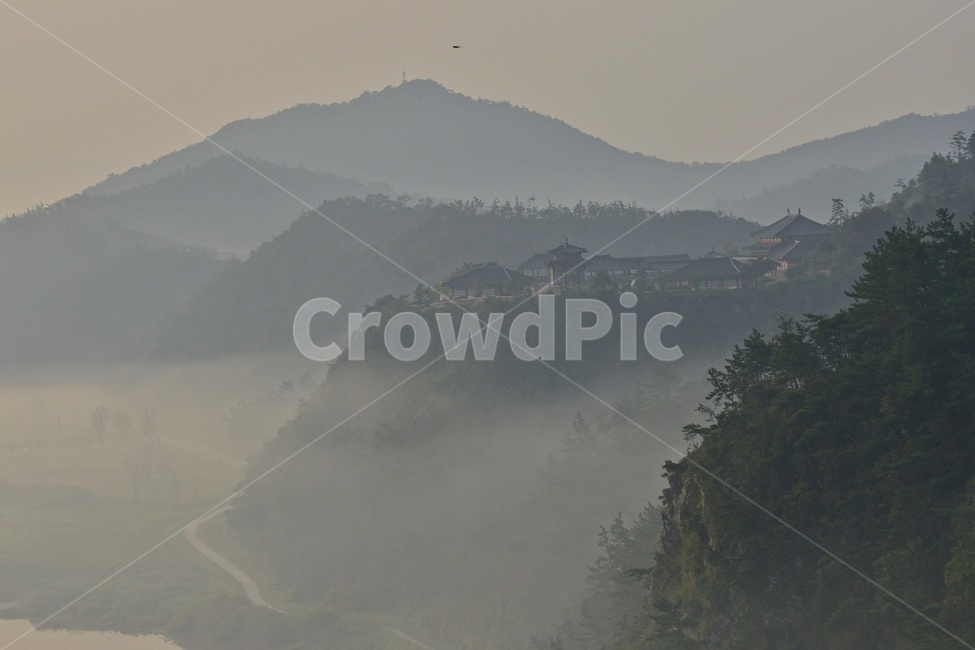 nature,자연,outdoors,옥외,weather,날씨,light,빛,flare,플레어,fog,안개,나주삼한지,삼한지,삼한지일출,여명,아침,해돋이,물안개,운해,자연,풍경,nature,landscape,한국자연풍경,한국자연경관,korea nature landscape