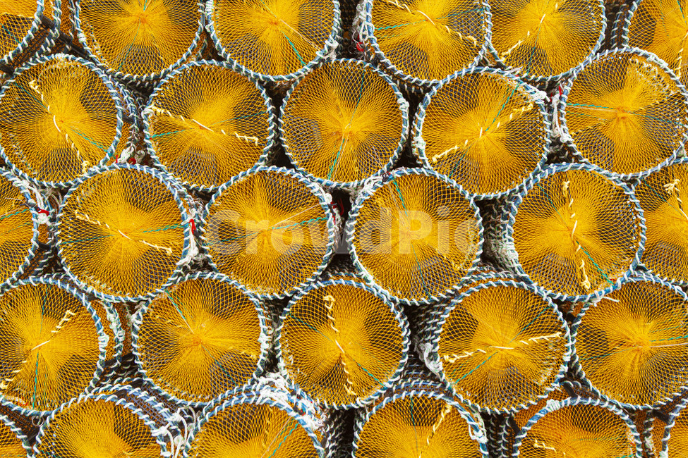 pattern,무늬,그물,어망,물고기,반복,패턴,어업,fishery,fishing industry,텍스처,질감,패턴,texture,pattern
