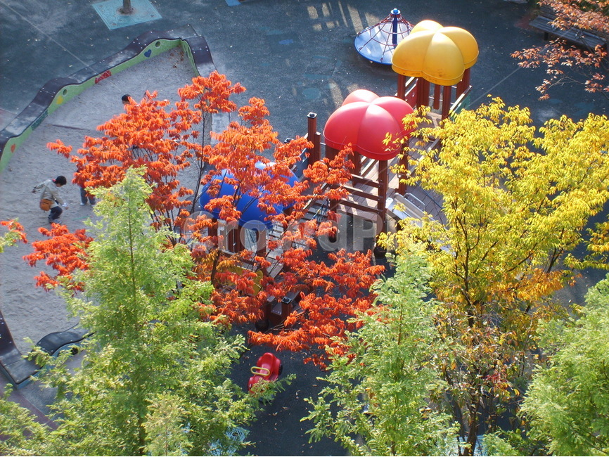 가을,단풍,공원,주황,노랑,가을,계절,fall,autumn,season,놀이공원,놀이동산,놀이터,amusement park,playground