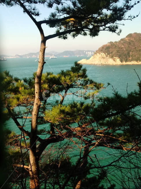 plant,식물,tree,나무,promontory,자연,풍경,nature,landscape