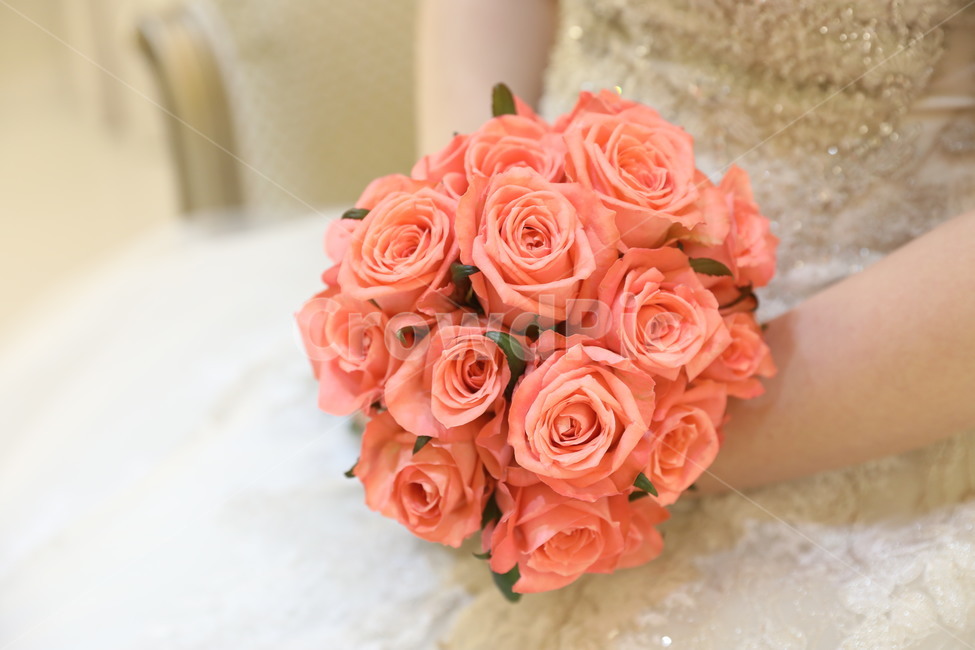 flower,flowerbouquet,부케,신부부케,꽃,웨딩,웨딩부케,신부,식물,꽃부케,사람,인물,인간,human,person,신체일부,몸,body,결혼,혼례,웨딩,wedding,marriage,marry