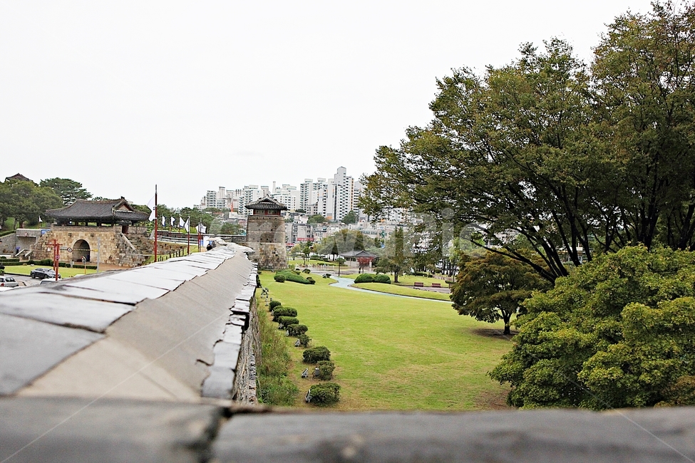 수원화성,성,성곽,길,둘레길,돌담,담,여름,자연,풍경,벽,방어벽,흙담,전통,한국전통,한국문화,korean traditional,korean culture