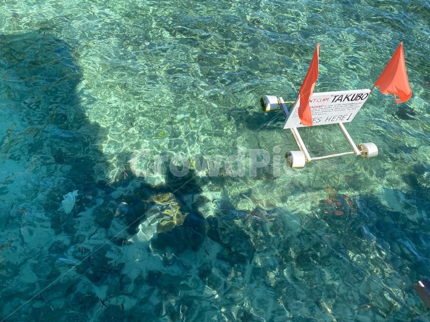풍경,sea,nature,자연,세부,cebu,물,파란색,깃발,동남아시아,바다,열대