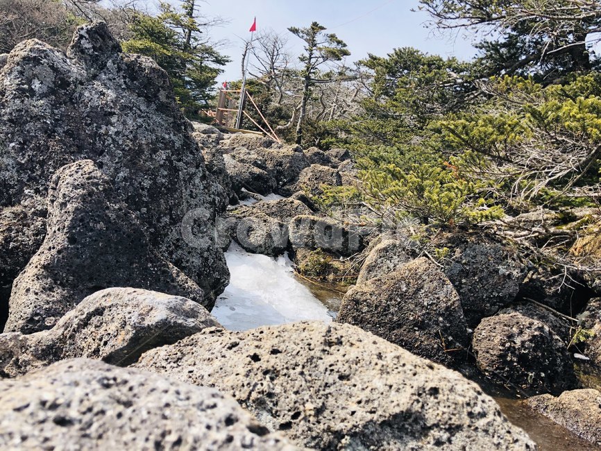 자연,나무,감성,이국적,숲,돌,바위,풀,자연,풍경,nature,landscape