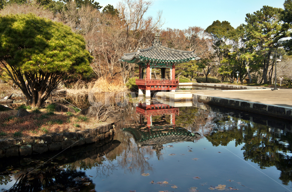 정원,한국,정자,누각,연못,자연,outdoors,옥외