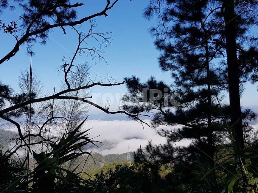 자연,구름,구름비다,산정상,맑은하늘,공기,nature,cloud,sky,배경화면