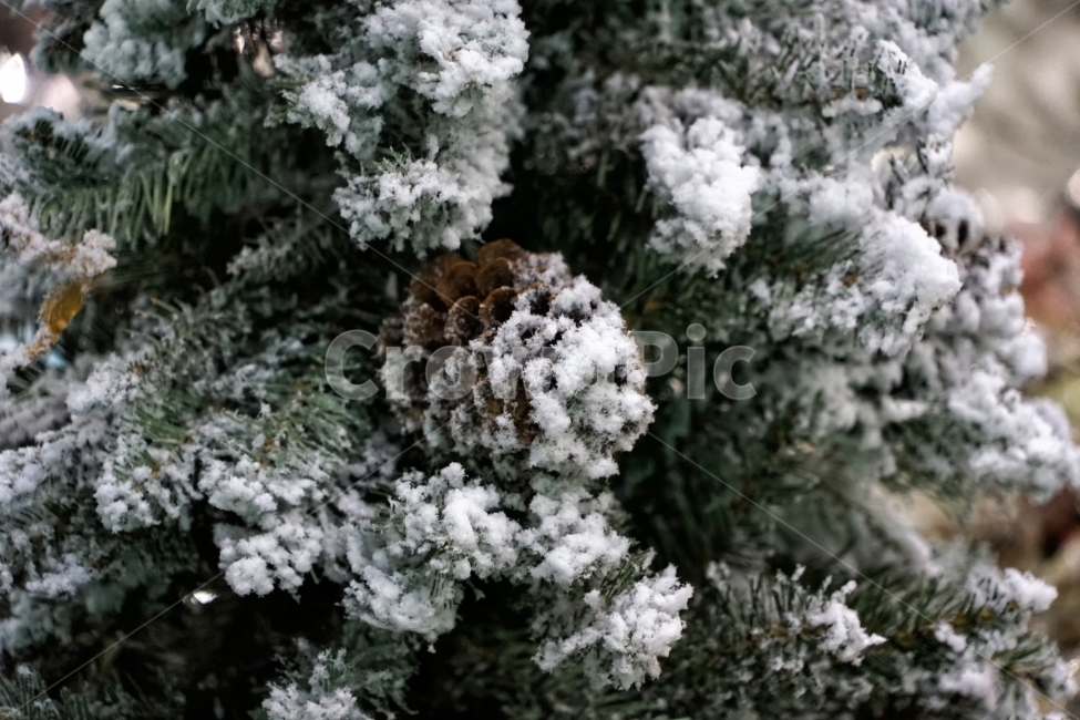 크리스마스,트리,장식,배경,겨울,나무,반짝이,휴일,솔방울,눈,별,신년,축하,계절,밝은,빨강,선물,녹색,카드,스파클,메리,눈송이,보석,흐리게,근접,빛나는,흐릿한,조명,엽서,요소,초점,하늘,유리,기념일,보케,리본,상자,박스,겨울,계절,winter,season,기념일,축하,anniversary,congratulation,celebrate,celebration,메리크리스마스,성탄절,merry christmas