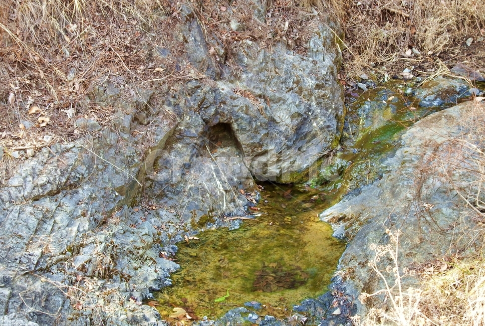 동네뒷산,뒷산,산,산행,산골짜기,자연,풍경,nature,landscape,water,물,outdoors,옥외
