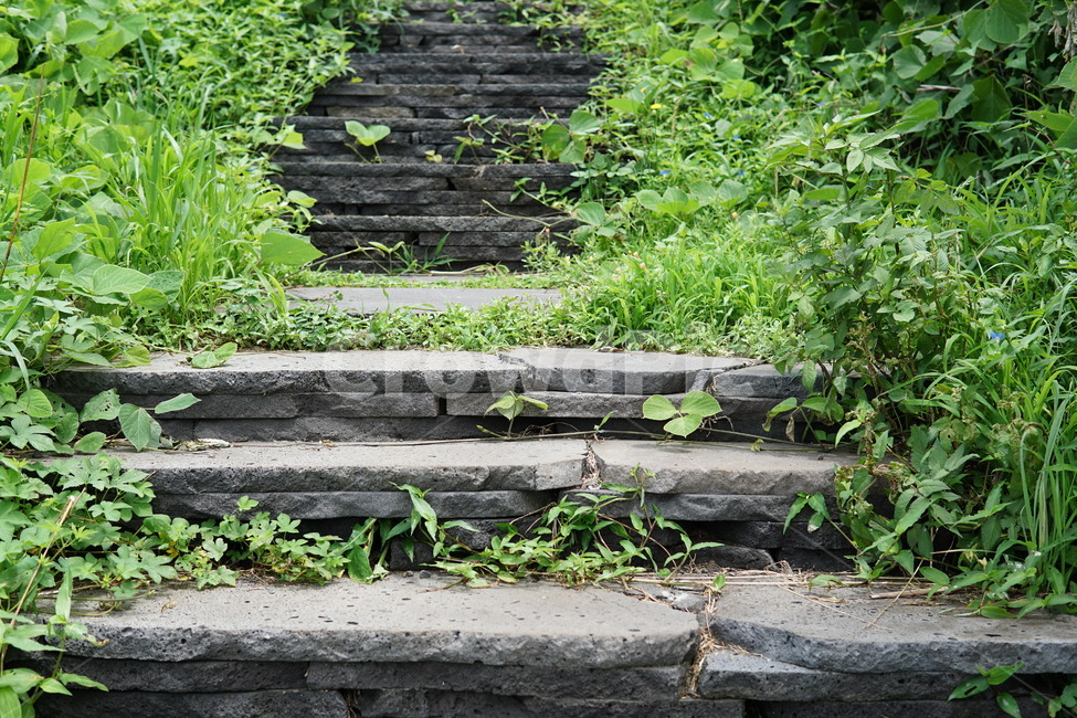 계단,풀,초록,제주,올레길,자연,풍경,nature,landscape,flagstone,판석,slate,슬레이트