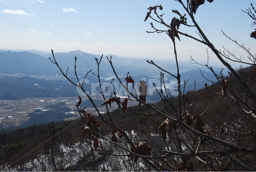 오서산자연휴양림,보령시,100대명산,월정사,등산로,돌,산행,힐링,자연,감성,등산,계절,여행,한국,한국명산,한국등산,풍경,눈,나무,하늘,바람,바람소리,환경,생태계,산,땅,겨울,계절,winter,season,자연,풍경,nature,landscape,한국자연풍경,한국자연경관,korea nature landscape