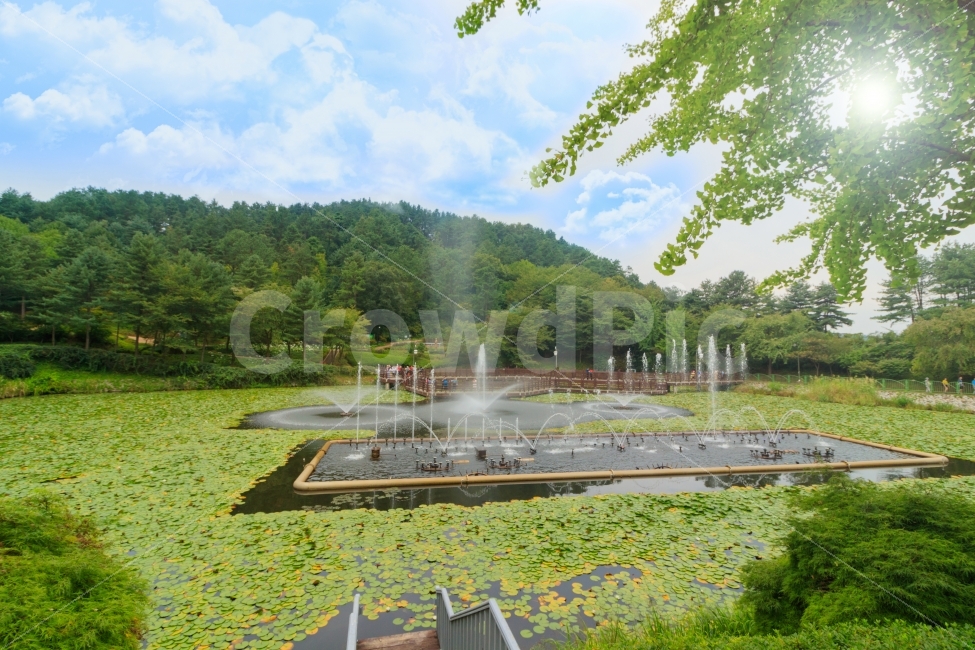 풍경,구름,자연,청남대,분수,호수,하늘,여름,자연,풍경,nature,landscape,휴식,힐링,rest,relaxation,healing,water,물