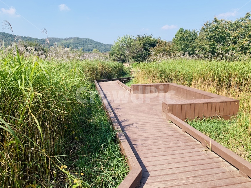 산책로,building,bridge,다리,boardwalk,공원