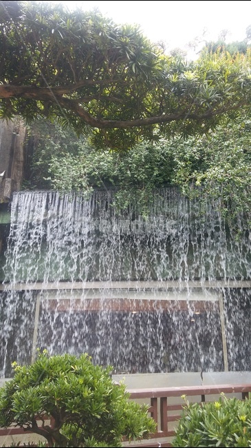 물,홍콩,연꽃정원식당,시원함,물소리,여름,계절,summer,season,자연,풍경,nature,landscape,water,river,강,outdoors,옥외