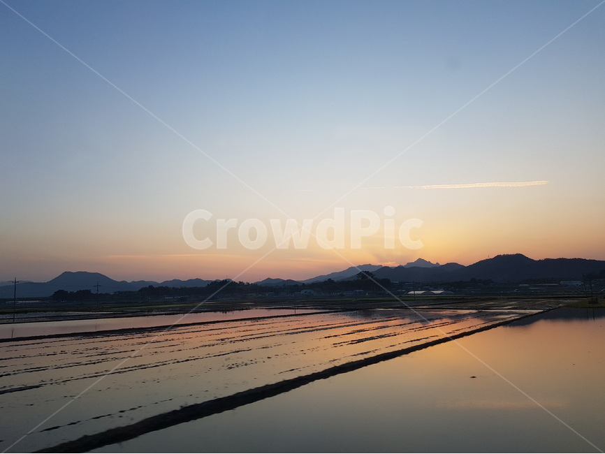 노을,논,시골풍경,산,하늘,자연,풍경,nature,landscape,outdoors,옥외