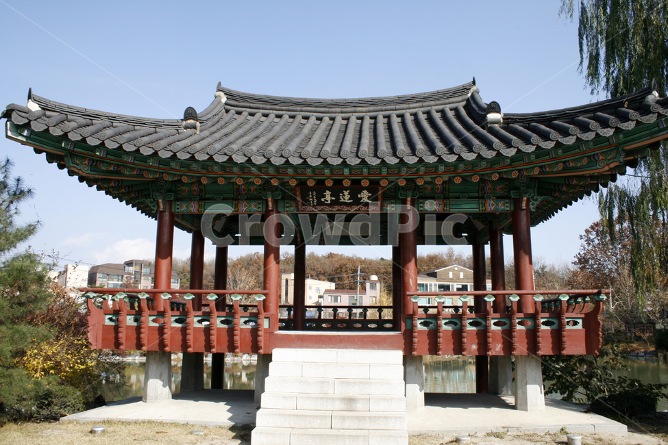 하늘,애련정,나무,정자,한국,전통,기와지붕,기와,한국전통,한국문화,korean traditional,korean culture,건축물,건물외관,exterior,building,structure,architecture,construction