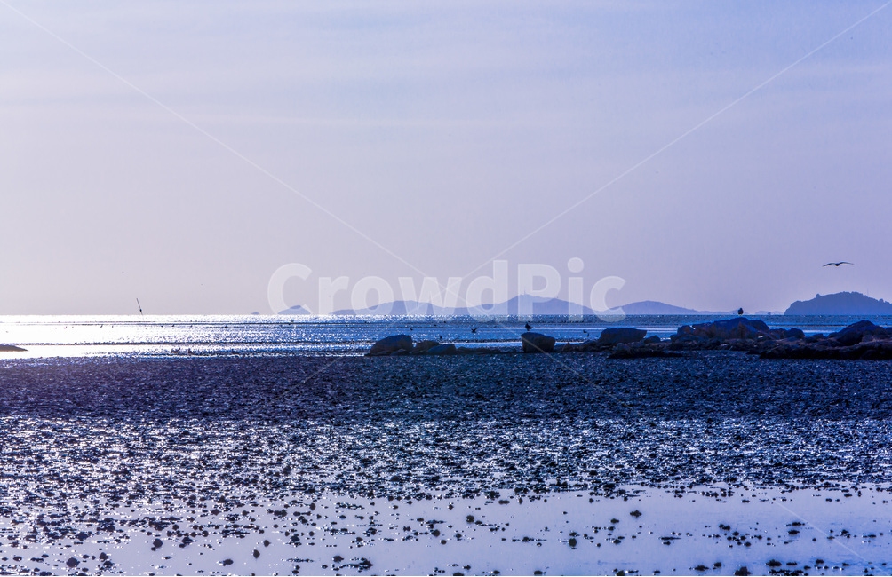 영종도,철새,낙조,풍경,환경,갯벌,석양,바닷가,자연,풍경,nature,landscape,한국자연풍경,한국자연경관,korea nature landscape,해변,바다,beach,sea,outdoors,옥외,land,땅