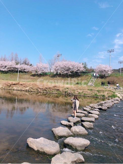 봄,맑은하늘,spring,여자,돌다리,개울가건너는사람,자연,nature,봄,계절,spring,season,plant,식물