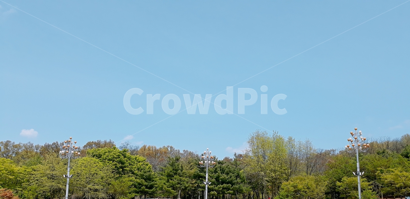 공원,하늘,파란하늘,맑은하늘,나무,봄하늘,연두빛