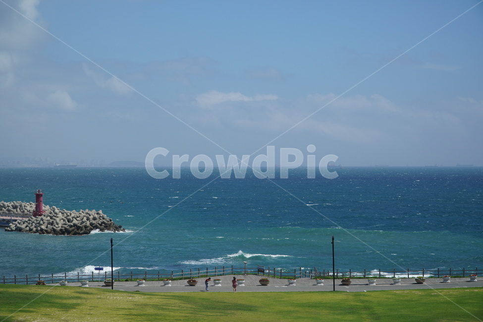 person,사람,human,인간,grass,잔디,plant,식물,바다,sea,자연,nature,하늘,sky,blue,green