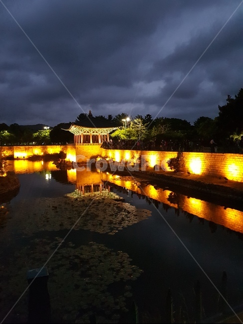 night view,Anapji Pond,night sky,Gyeongju,pond side