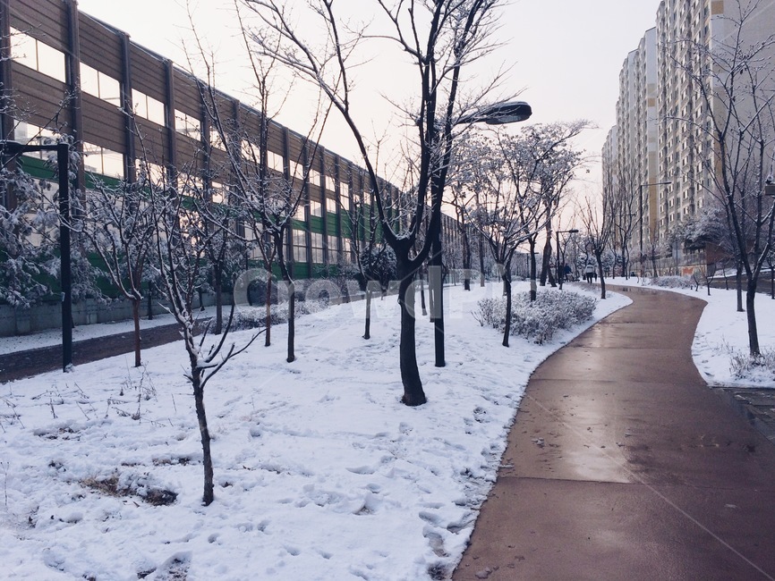 자연,겨울,눈,산책,거리,winter,street,snow,겨울,계절,winter,season