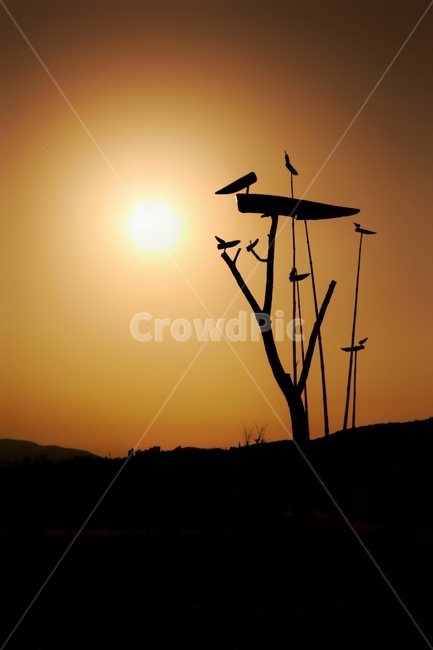 솟대,석양,노을,실루엣,sunset,하중도,M6,캐논,canon,일상,나들이,산책,출사,저녁,늦은오후,해질녘