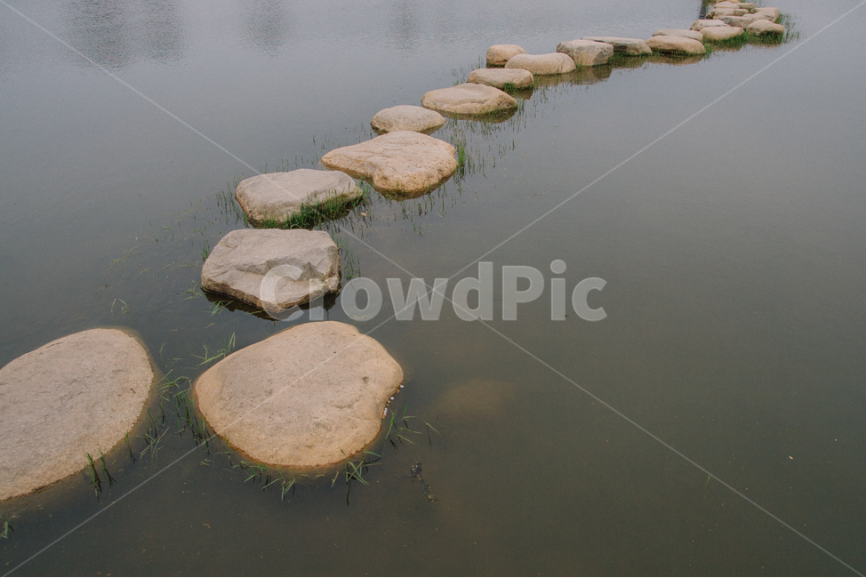 돌다리,징검다리,연못,바위,돌,산책,공원,자연,풍경,nature,landscape,water,물,outdoors,옥외