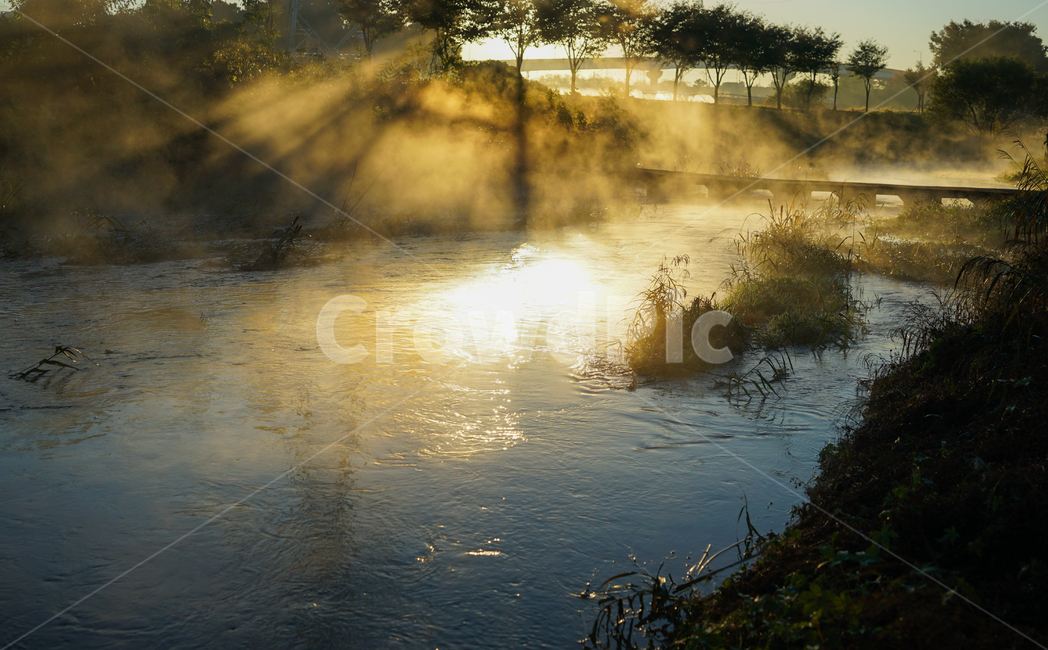 개울,개천,나무,안개,가을,시냇물,풍경,자연,풍경,nature,landscape,water,물,outdoors,옥외