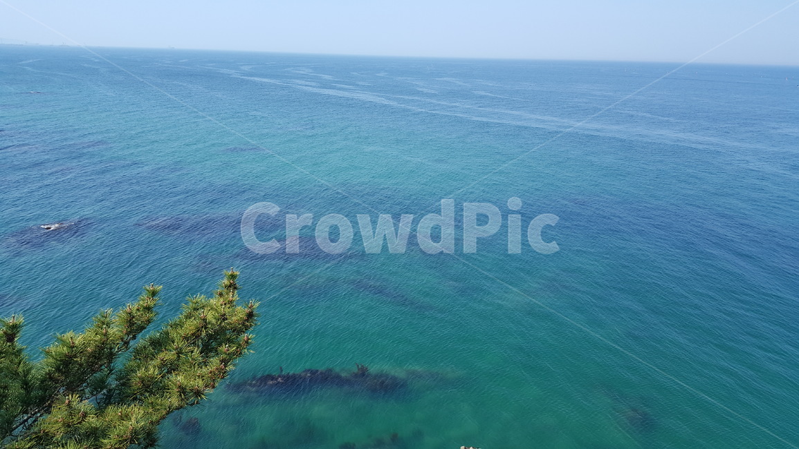 바다,강원도,동해,여름,파도,자연,풍경,nature,landscape,land,땅,outdoors,옥외,ocean,대양,sea,water,물