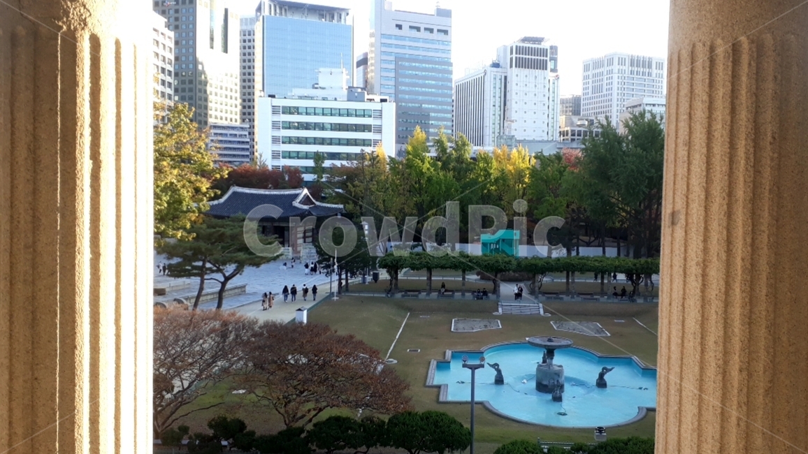 의자,가구,식탁,침실,전말,녹색,불빛,한강,송파,서울,강남,청계,덕수