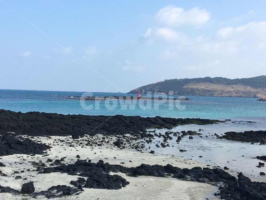 제주도,제주,바다,자연,해안선,물
