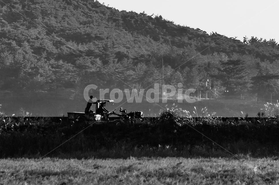 밭,경운기,농부,들,아침햇살,흑백,모노톤,monochrome,black and white,농업,농사,agriculture,farming,farming industry