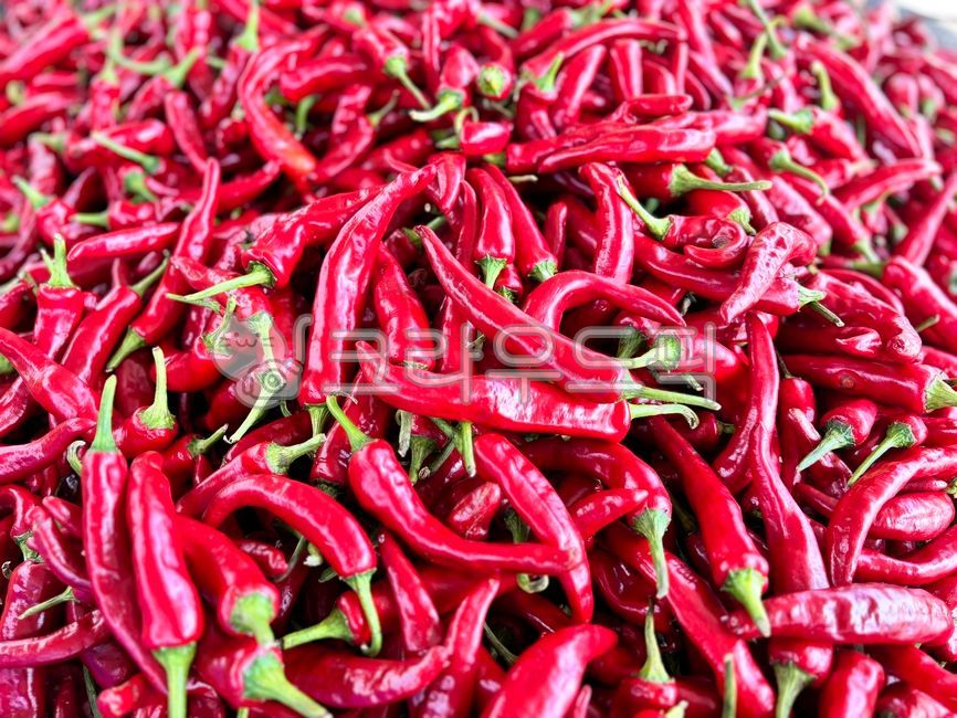 Chili pepper,red pepper,red pepper,sun pepper,gochujang,red pepper powder