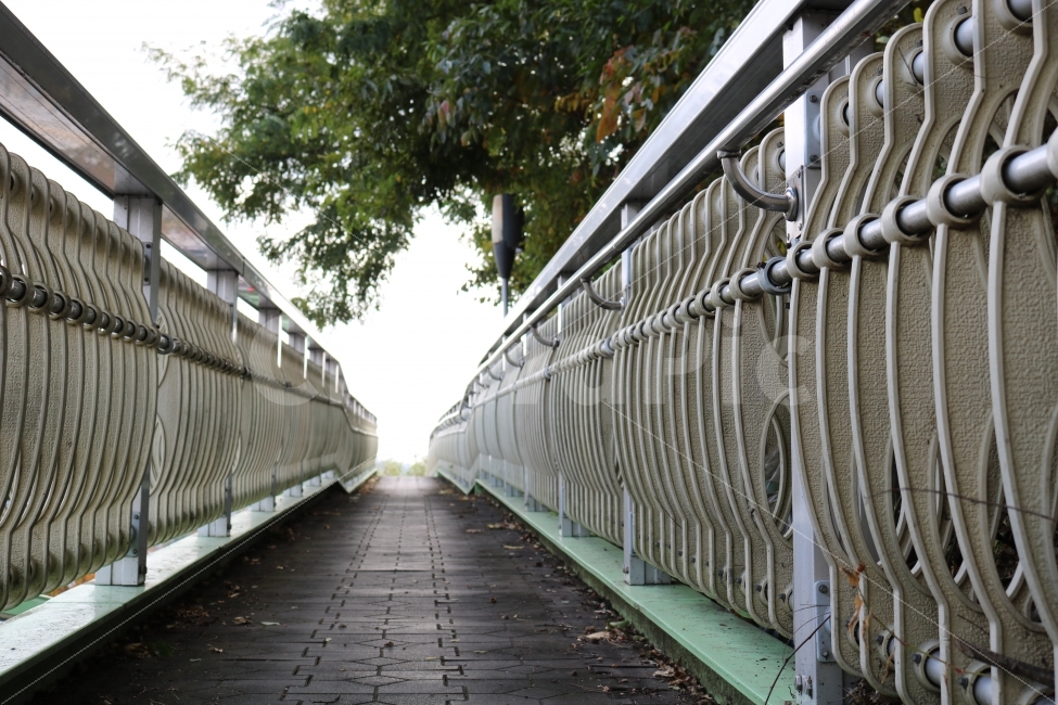 pedestrianoverpass,pedestrian,bridge,tree,sky,beauty,육교